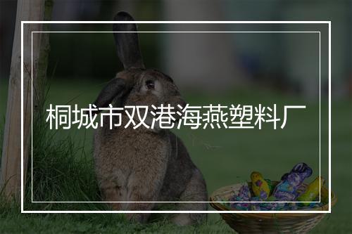 桐城市双港海燕塑料厂