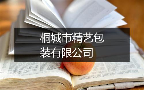 桐城市精艺包装有限公司