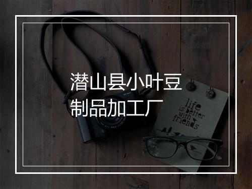 潜山县小叶豆制品加工厂