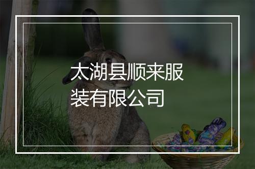 太湖县顺来服装有限公司