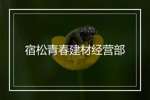 宿松青春建材经营部