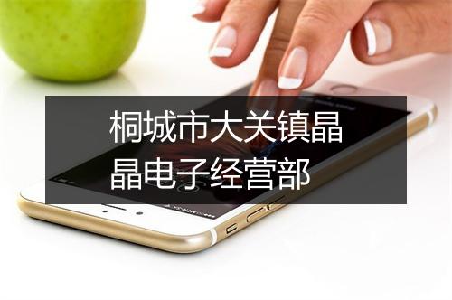 桐城市大关镇晶晶电子经营部
