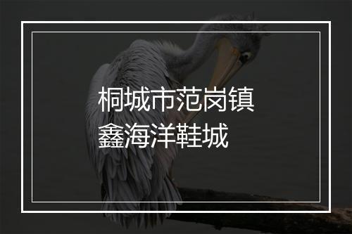 桐城市范岗镇鑫海洋鞋城