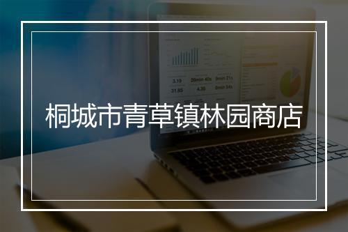 桐城市青草镇林园商店