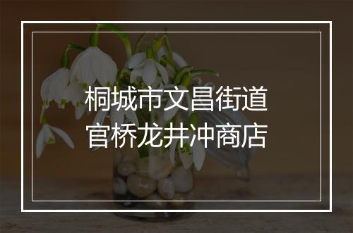 桐城市文昌街道官桥龙井冲商店