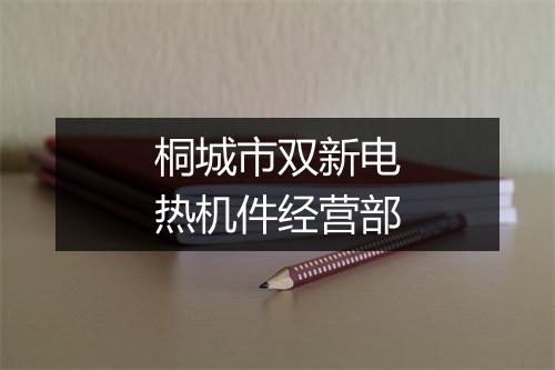 桐城市双新电热机件经营部