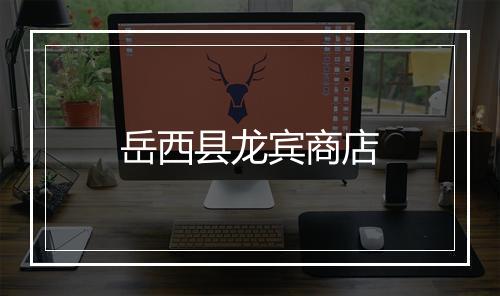 岳西县龙宾商店