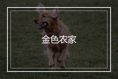 金色农家