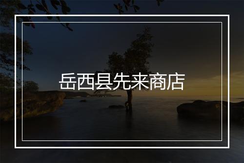 岳西县先来商店