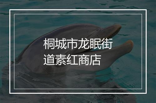 桐城市龙眠街道素红商店