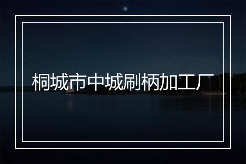 桐城市中城刷柄加工厂