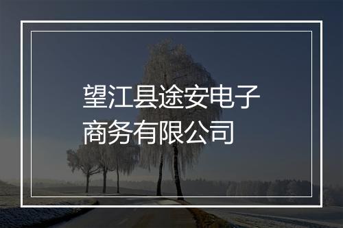 望江县途安电子商务有限公司