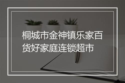 桐城市金神镇乐家百货好家庭连锁超市