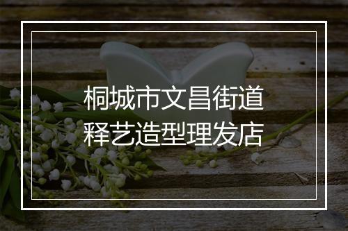 桐城市文昌街道释艺造型理发店