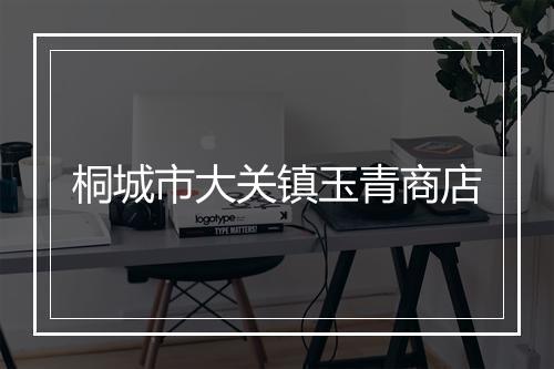 桐城市大关镇玉青商店