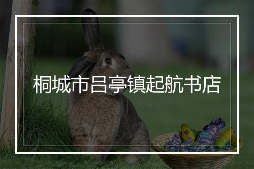 桐城市吕亭镇起航书店