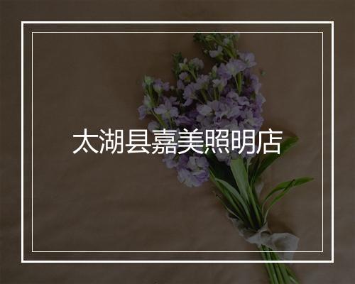 太湖县嘉美照明店