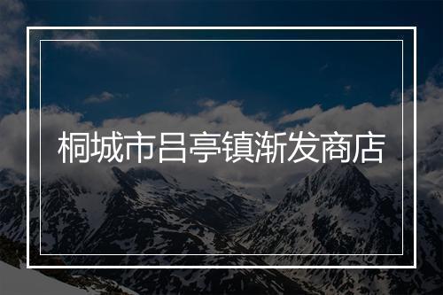 桐城市吕亭镇渐发商店