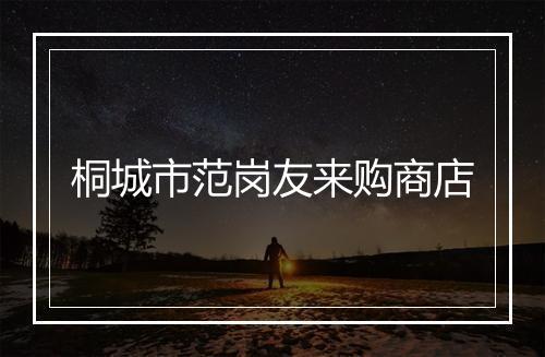 桐城市范岗友来购商店