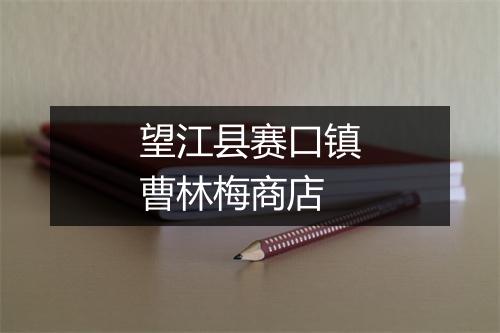 望江县赛口镇曹林梅商店