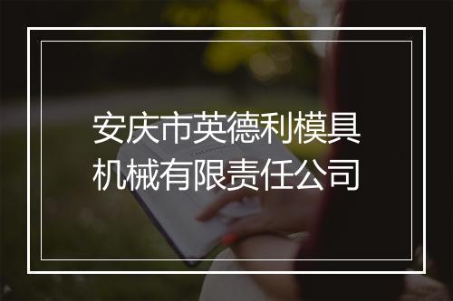 安庆市英德利模具机械有限责任公司