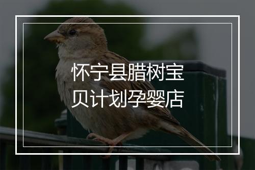 怀宁县腊树宝贝计划孕婴店
