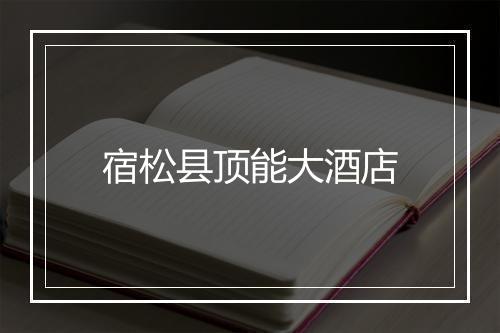 宿松县顶能大酒店