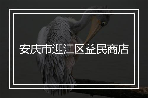 安庆市迎江区益民商店