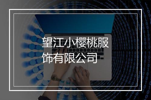 望江小樱桃服饰有限公司