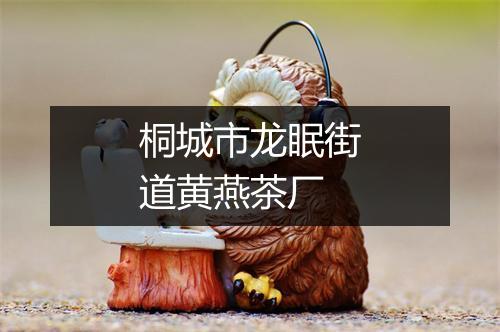 桐城市龙眠街道黄燕茶厂