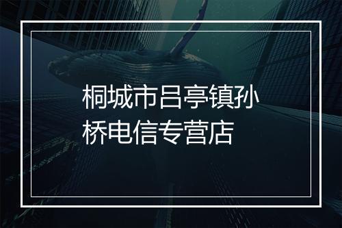 桐城市吕亭镇孙桥电信专营店