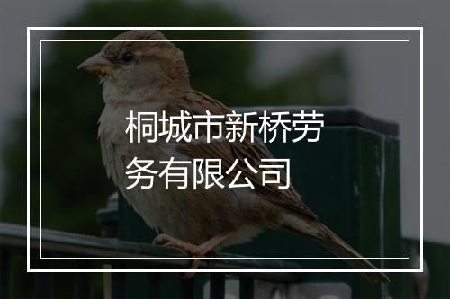 桐城市新桥劳务有限公司