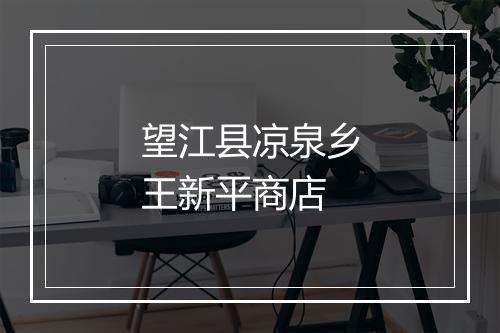 望江县凉泉乡王新平商店