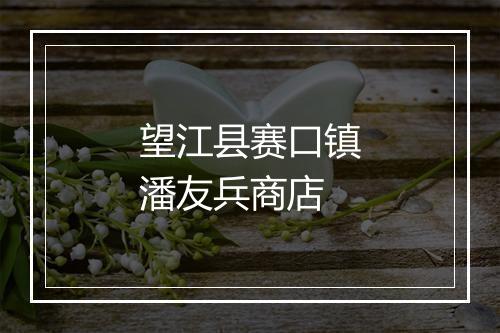 望江县赛口镇潘友兵商店