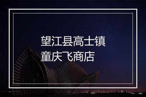望江县高士镇童庆飞商店