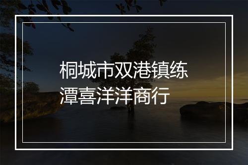 桐城市双港镇练潭喜洋洋商行