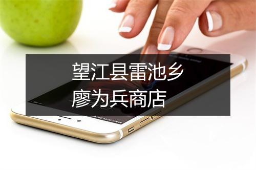 望江县雷池乡廖为兵商店