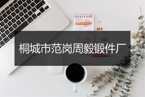 桐城市范岗周毅锻件厂