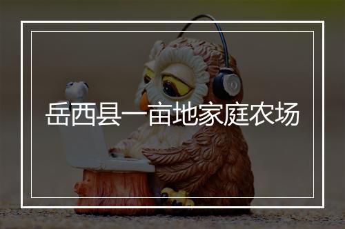 岳西县一亩地家庭农场