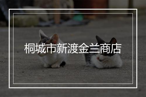 桐城市新渡金兰商店