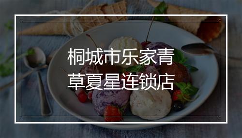 桐城市乐家青草夏星连锁店