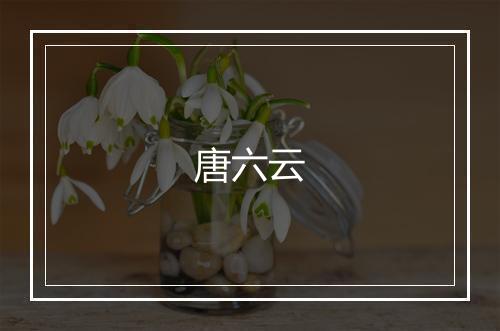 唐六云