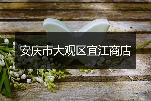 安庆市大观区宜江商店