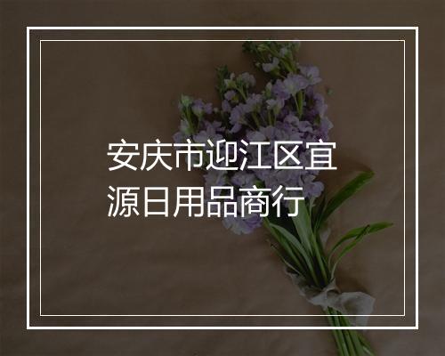 安庆市迎江区宜源日用品商行