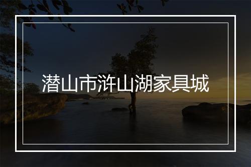 潜山市浒山湖家具城