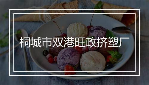 桐城市双港旺政挤塑厂