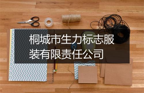 桐城市生力标志服装有限责任公司