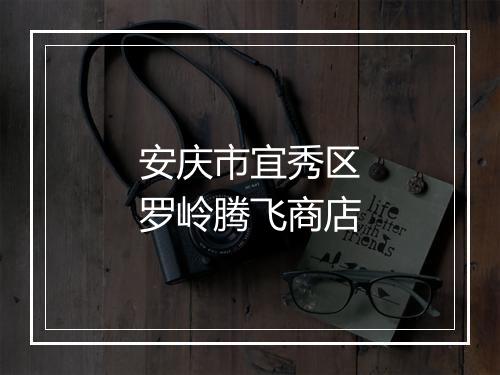 安庆市宜秀区罗岭腾飞商店