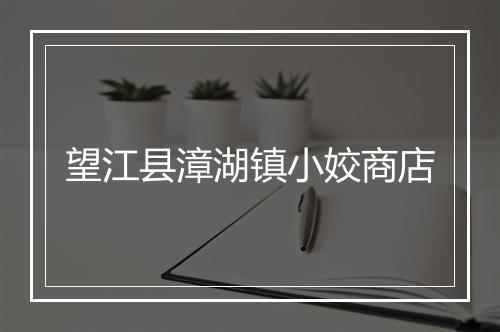 望江县漳湖镇小姣商店
