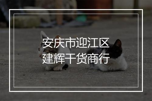 安庆市迎江区建辉干货商行